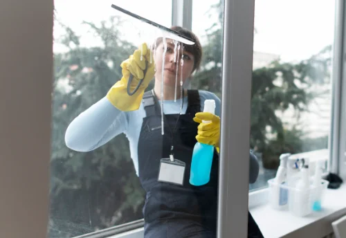 Nettoyage de vitres intérieures et extérieures à Marignana